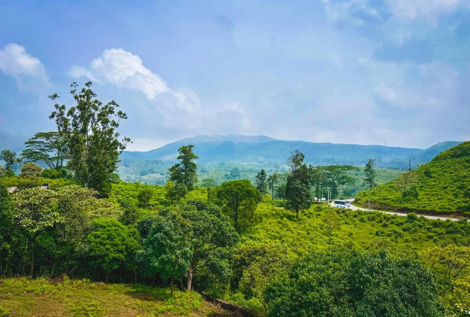 Monsoon Mist Kerala Hotell Pīrmed